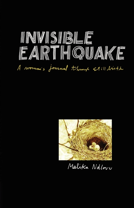 Invisible-Earthquake--A-woman's-journal-through-still-birth