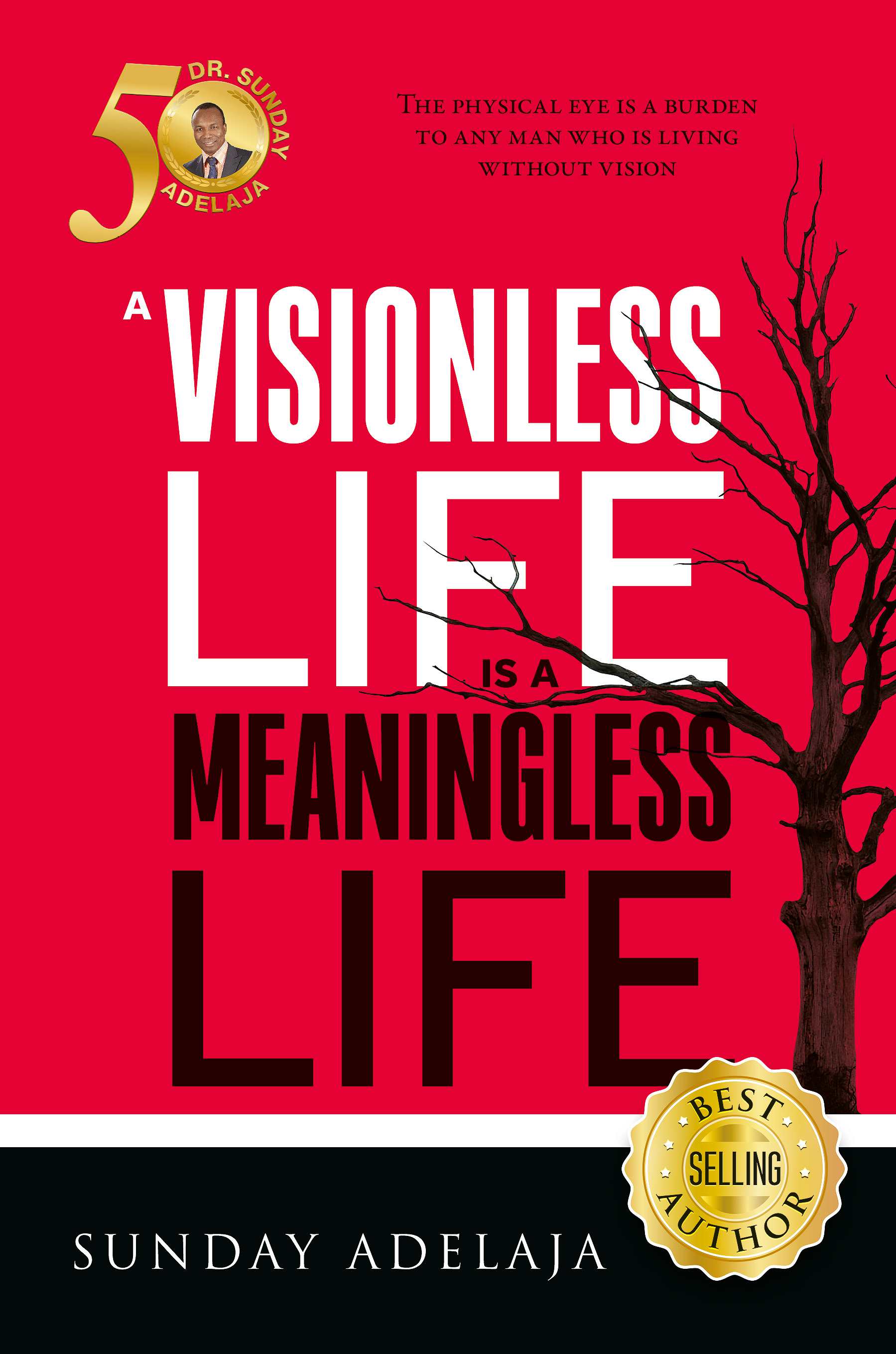 A-Visionless-Life-is-a-Meaningless-Life