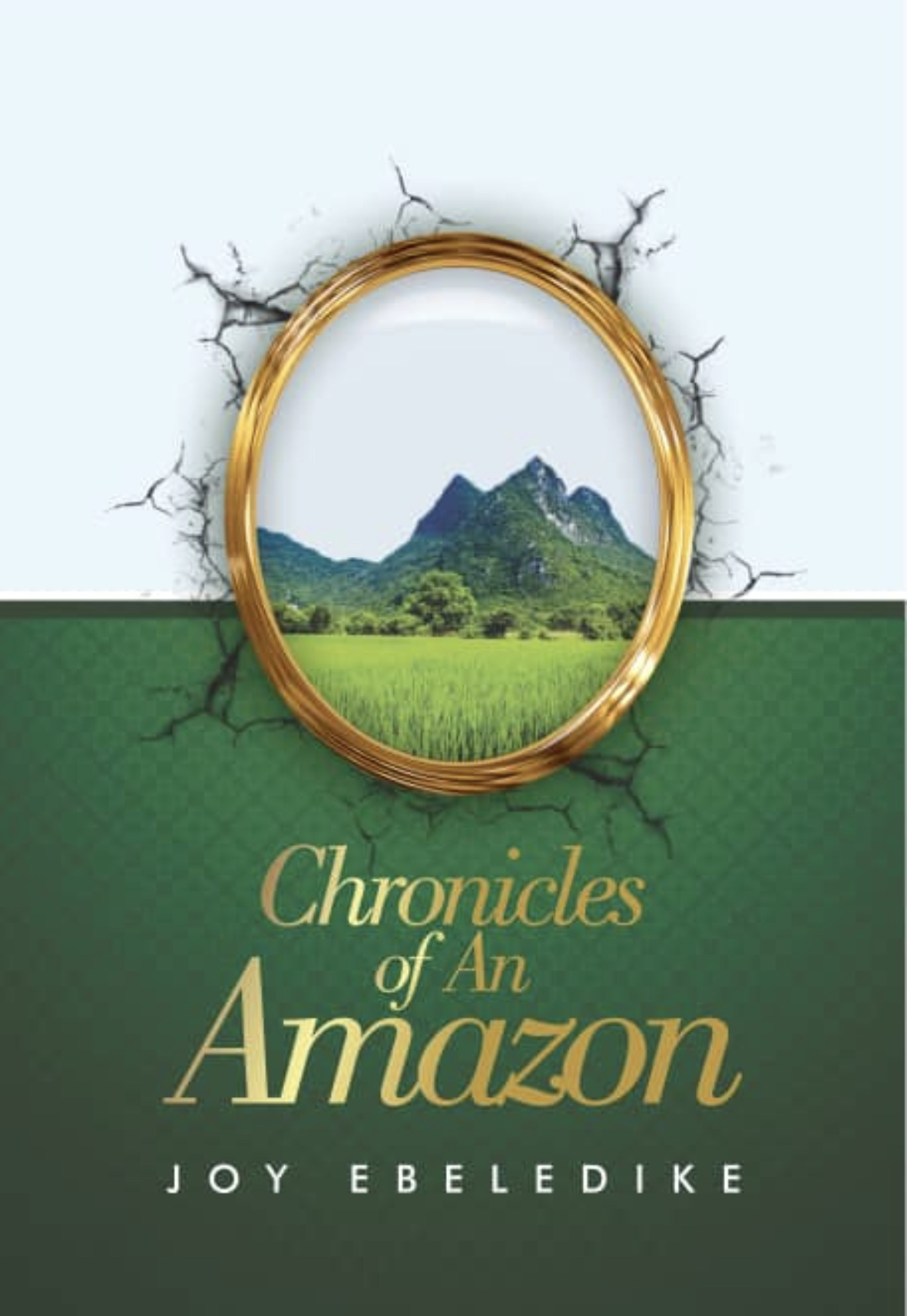 Chronicles-of-An-Amazon