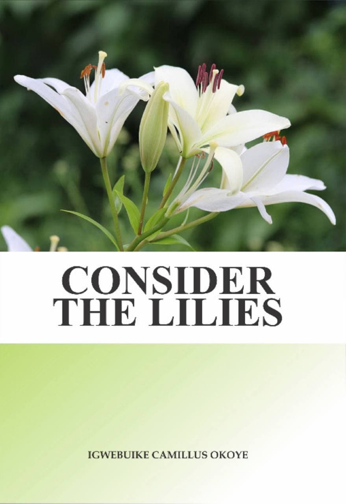 Consider-the-Lilies