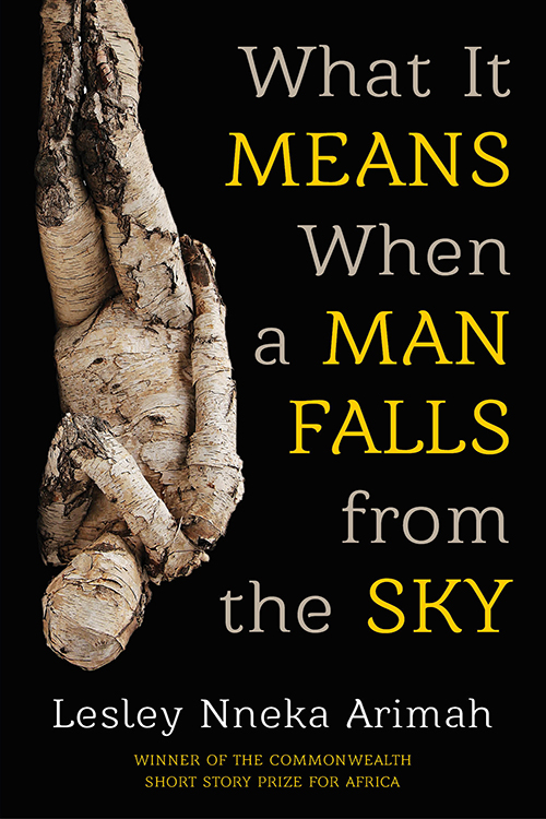 What-it-Means-When-a-Man-Falls-from-the-Sky