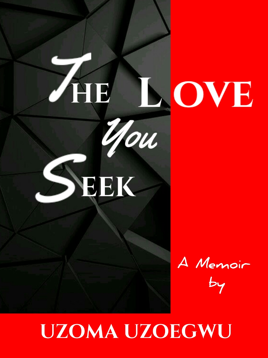 The-Love-You-Seek