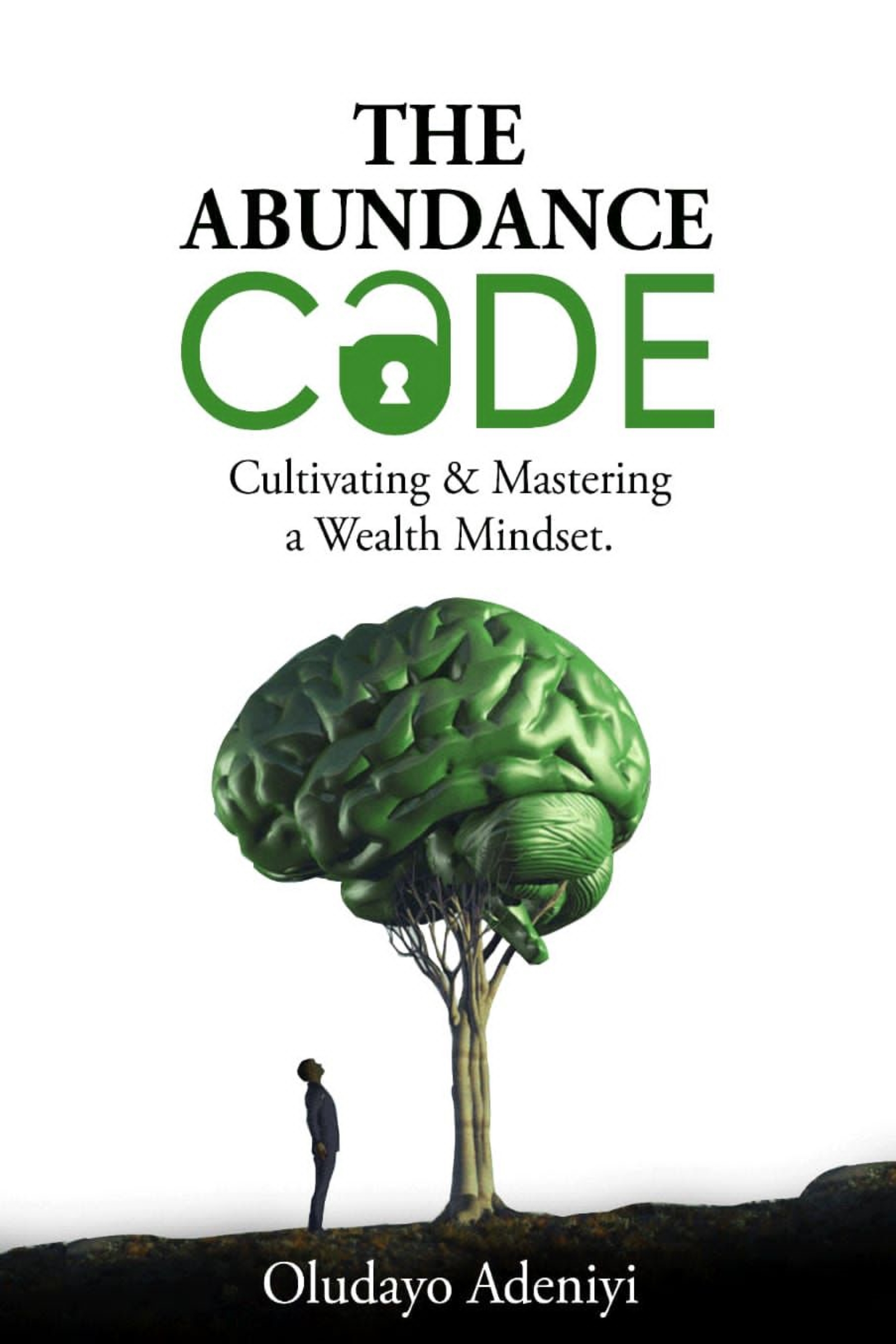 The-Abundance-Code--Cultivating-and-Mastering-A-Wealth-Mindset