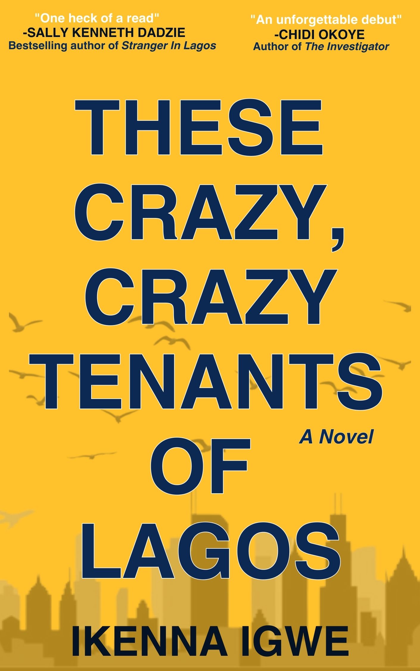These-Crazy-Crazy-Tenants-Of-Lagos