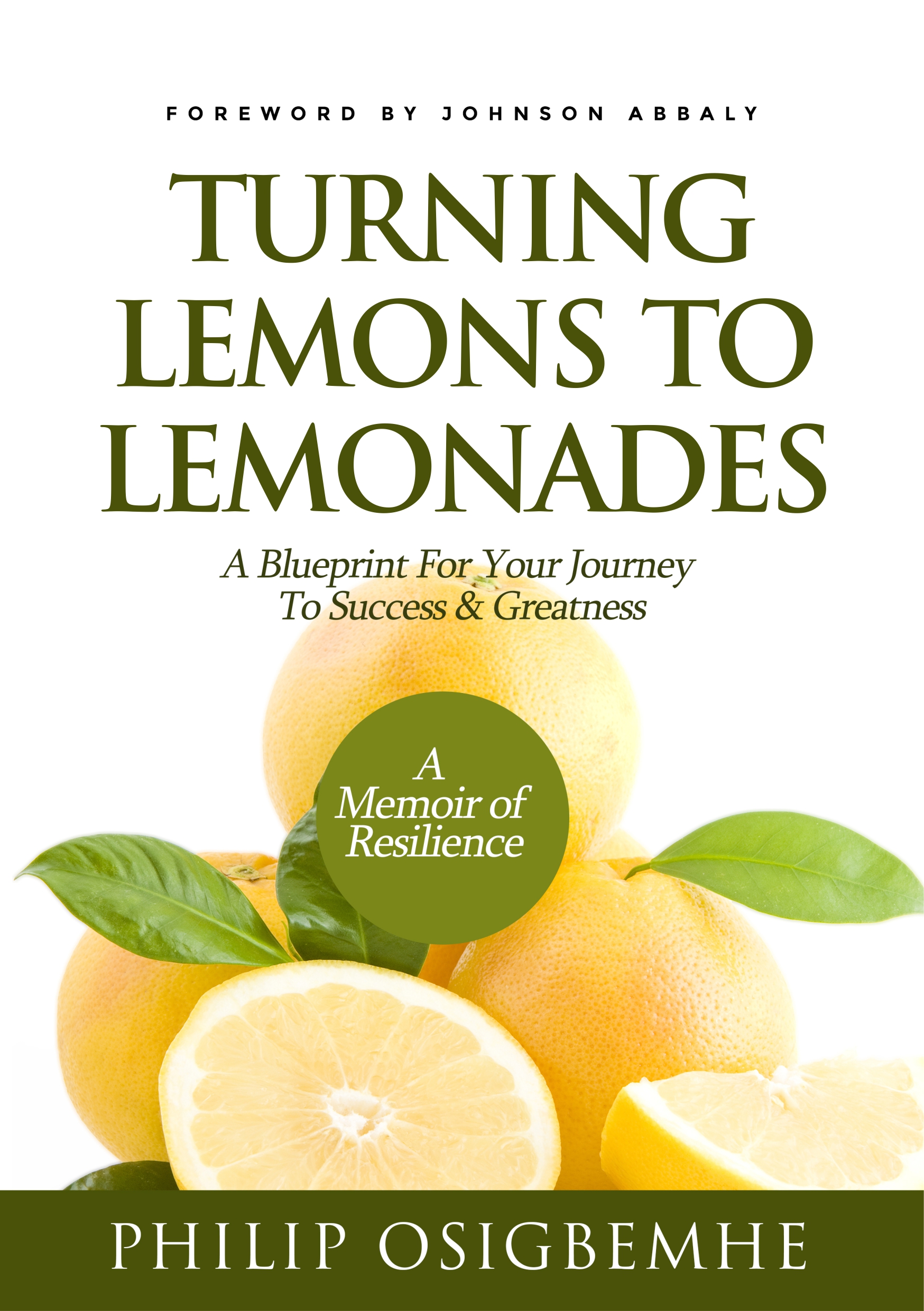 Turning-Lemons-to-Lemonades--A-Blueprint-For-Your-Journey-to-Success-and-Greatness