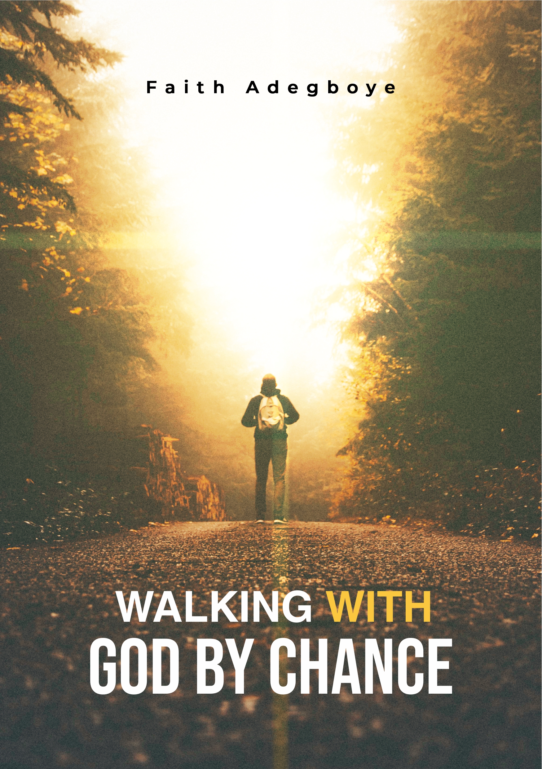 Walking-with-God-by-Chance