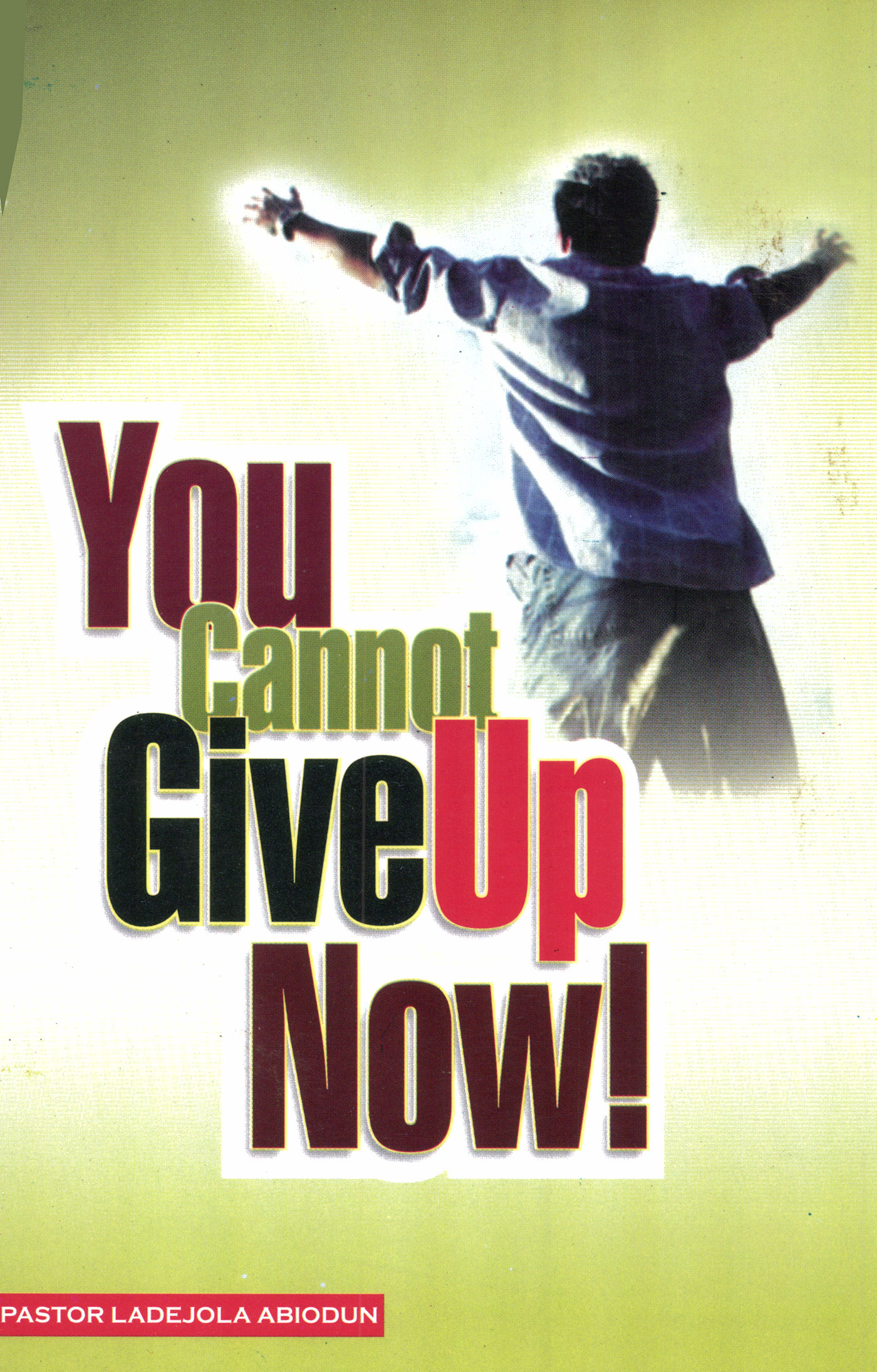 You-Cannot-Give-Up-Now