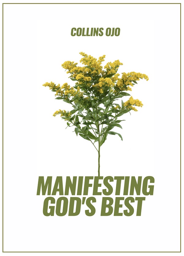 Manifesting-God's-Best